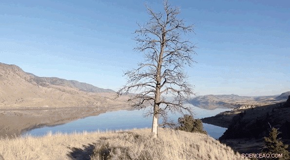 Skydio s Autonomous Drone: Seamless Tracking of Moving Subjects in Any Environment