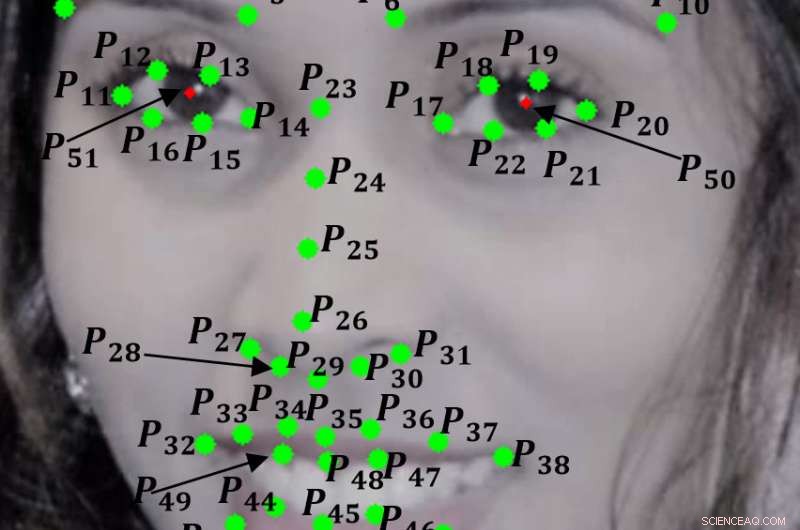 Using Smile Dynamics to Accurately Distinguish Gender with AI