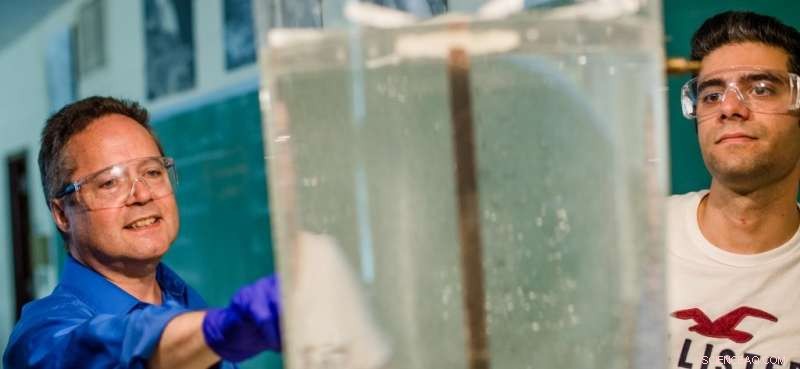 Affordable Low‑Tech Solutions for Cleaner Water Quality