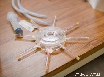 Affordable Low‑Tech Solutions for Cleaner Water Quality