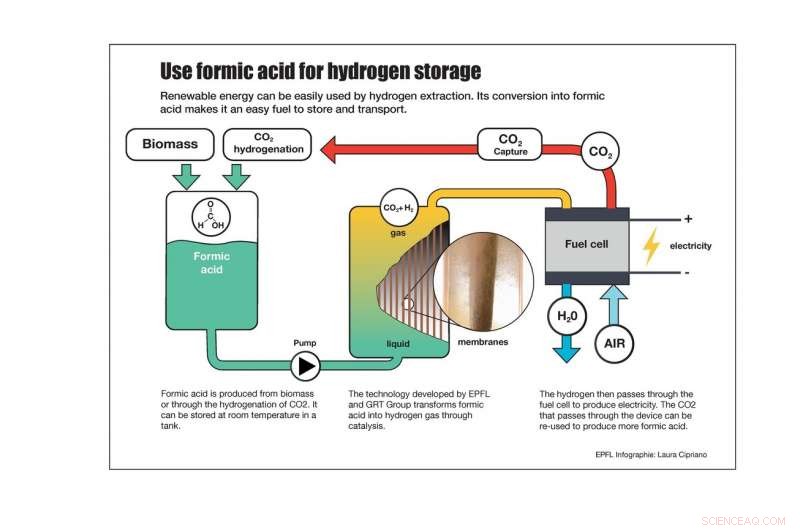 EPFL Team Breaks Ground with First Formic Acid‑Based Fuel Cell