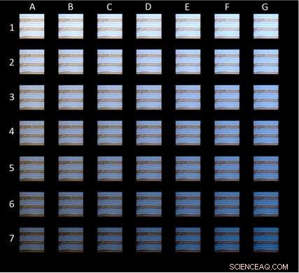 Innovative Algorithm Replicates Color Perception Variations in  The Dress  Image