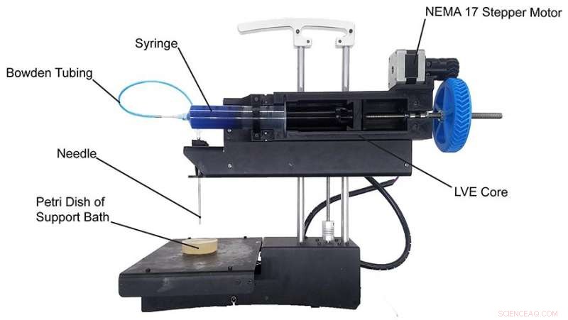 Build Your Own Low-Cost 3D Bioprinter: A Step-by-Step Guide