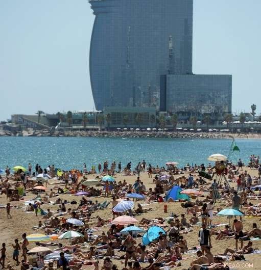 Solar Power Finds Its Place in Spain s Sunny Future