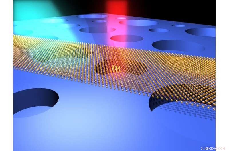 Nano-Resonator Achieves Cat-Like Hearing While Being Trillions of Times Smaller Than the Human Eardrum