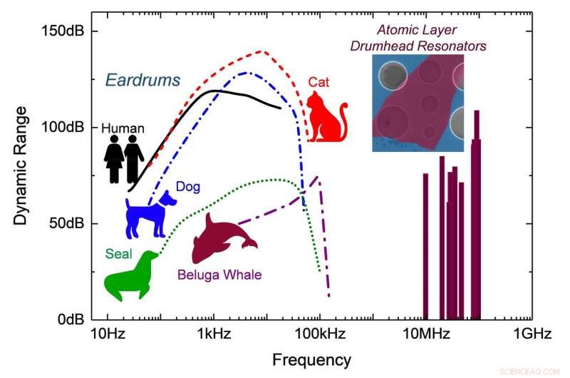 Nano-Resonator Achieves Cat-Like Hearing While Being Trillions of Times Smaller Than the Human Eardrum