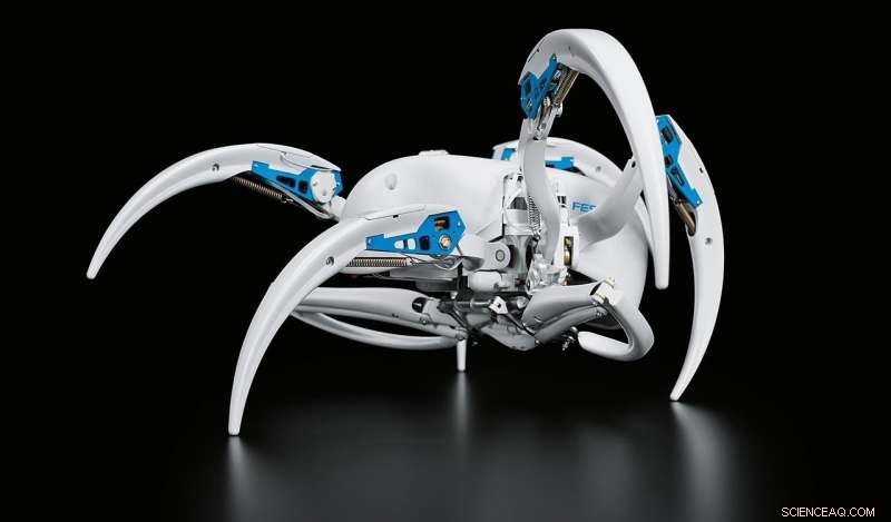 Robotic Design Inspired by a Self‑Rolling Spider