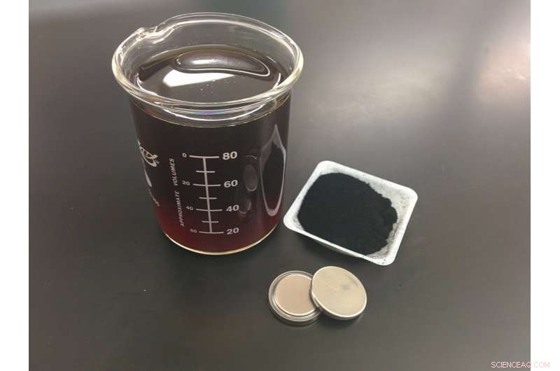 Revolutionary Lithium‑Sulfur Batteries Made from Paper Biomass