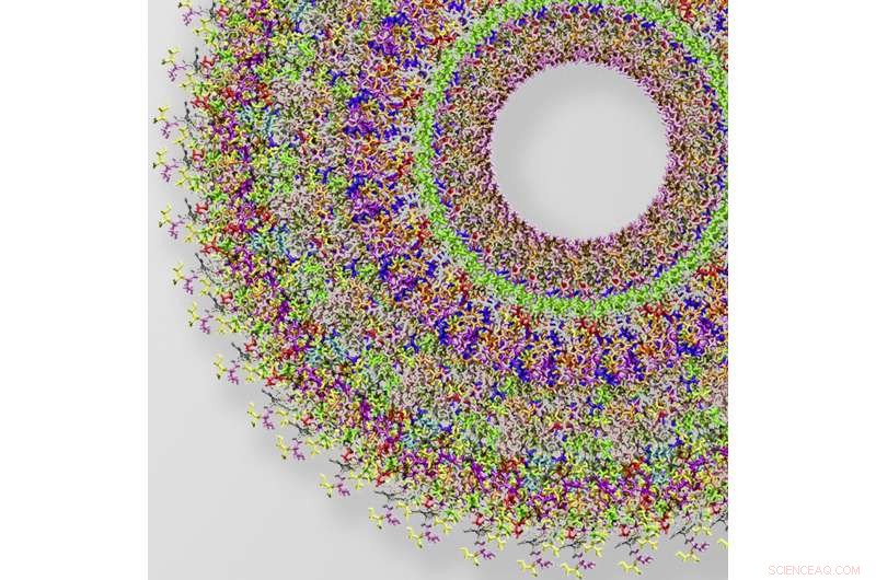 From Quantum Mechanics to Automotive Batteries: How Material Innovations Drive Energy Efficiency