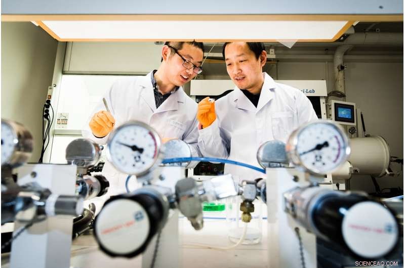 Advancing Lead‑Free Solar Cells with High‑Performance Double Perovskites