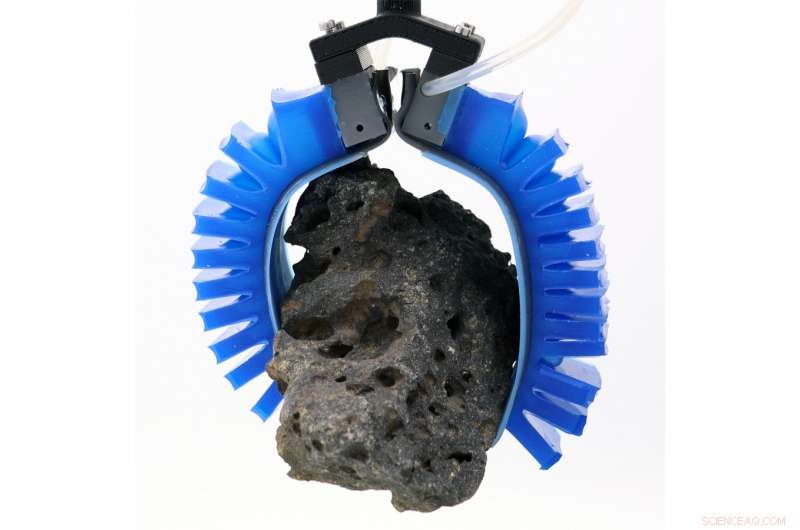 Gecko-Style Adhesives Enhance Soft Robotic Grippers for Superior Grip