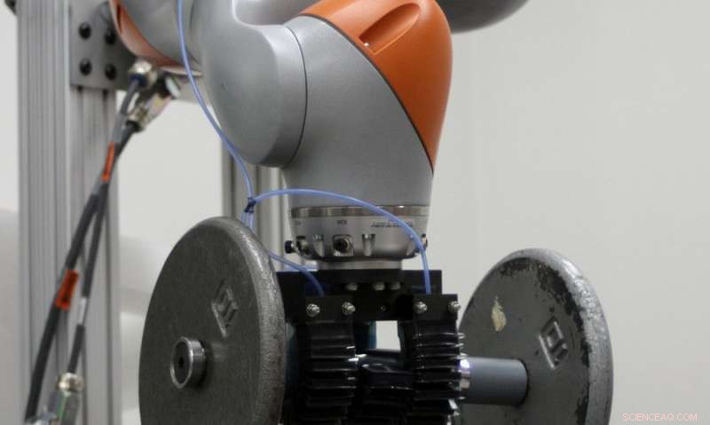 Gecko-Style Adhesives Enhance Soft Robotic Grippers for Superior Grip