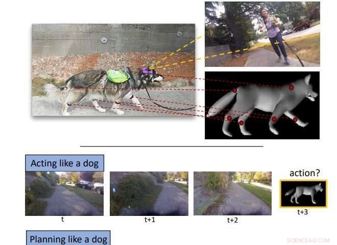 AI System Mimics Canine Behavior with Advanced Predictive Modeling