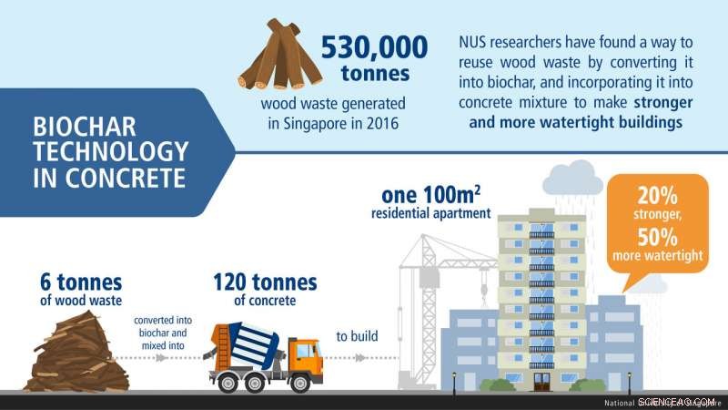 Revolutionary Biochar Technique Strengthens Buildings Using Recycled Wood Waste