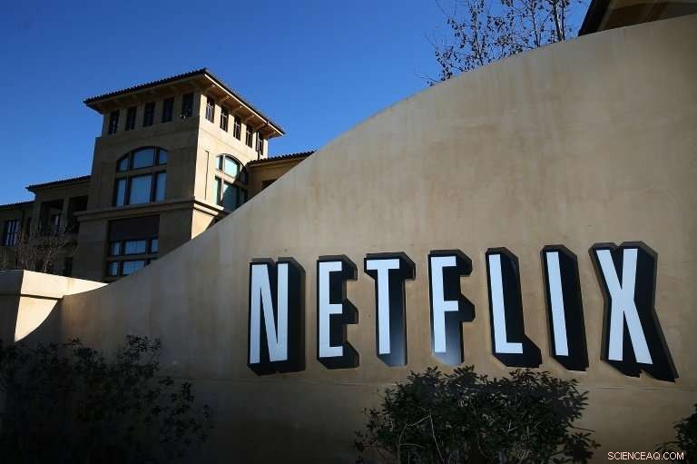 Netflix Drives Record Revenue and Profit Growth with Strong Subscriber Gains