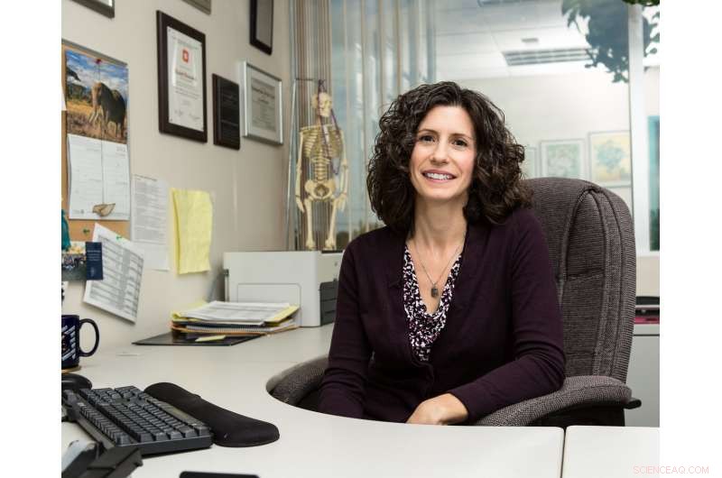 General Aviation Pilots Face Challenges Interpreting Weather Forecasts & Observations