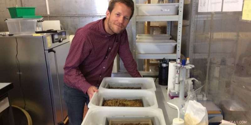 Profit from Biowaste: Turning Waste into Valuable Animal Feed