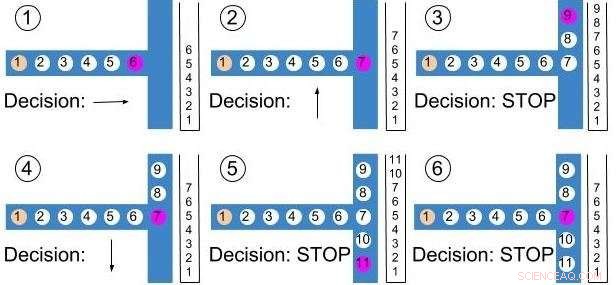 Revolutionizing Road Mapping: Automated Aerial Image Processing
