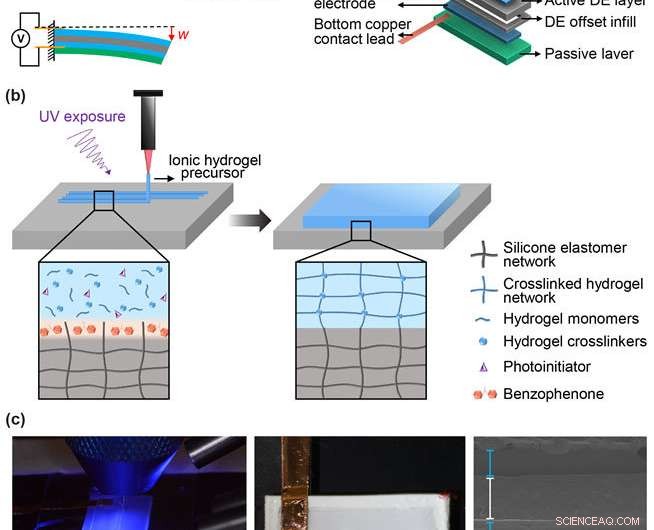 Robots Gain New Life: 3‑D Printed Active Materials Inspired by Invertebrates