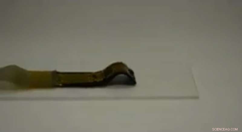 University of Houston Engineers Create Autonomous Soft Robots Capable of Self-Movement