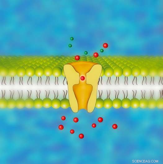Simulating the Human Brain: Virtual Modeling of Neural Networks