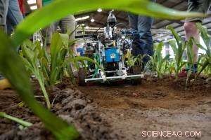 Making Optical Path Recognition Audible: A New Accessible Navigation Tool