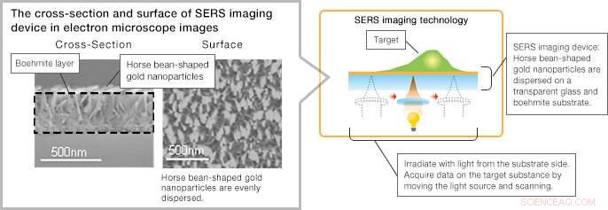 FUJIFILM Introduces Advanced SERS Imaging for Automated Pathology Diagnosis