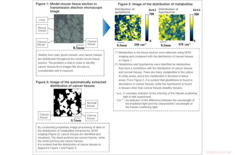 FUJIFILM Introduces Advanced SERS Imaging for Automated Pathology Diagnosis
