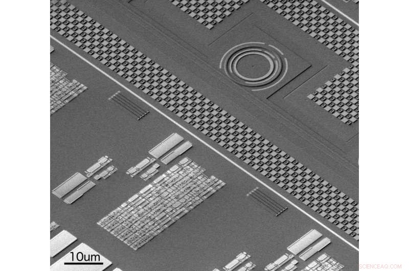 Pioneering Microelectronics: Researchers Chart the Course to a New Technological Frontier