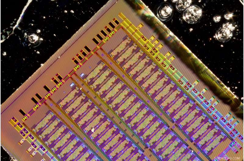 Pioneering Microelectronics: Researchers Chart the Course to a New Technological Frontier