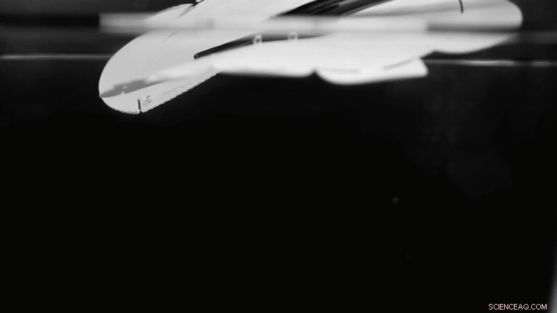 Affordable 3‑D Printer Produces Self‑Foldable Materials