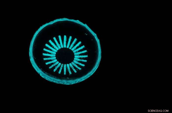 Innovative Glowing Contact Lens Aims to Halt Diabetic Retinopathy, a Leading Cause of Blindness