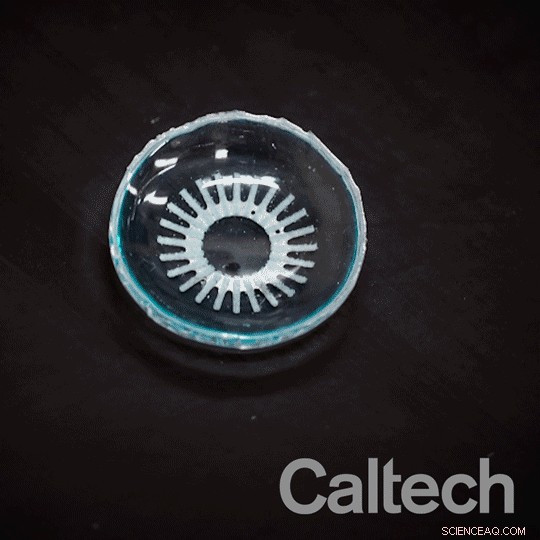 Innovative Glowing Contact Lens Aims to Halt Diabetic Retinopathy, a Leading Cause of Blindness