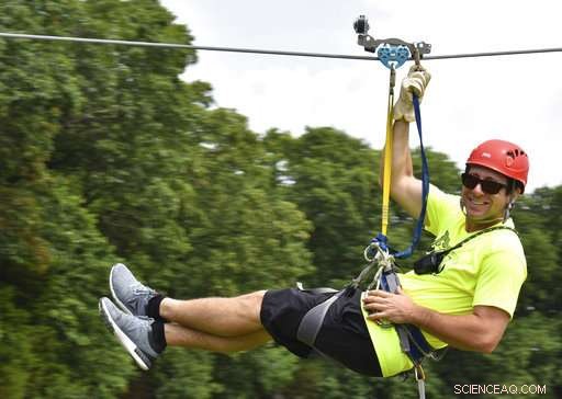 Balancing Privacy and Advertising: How Businesses Navigate Facebook