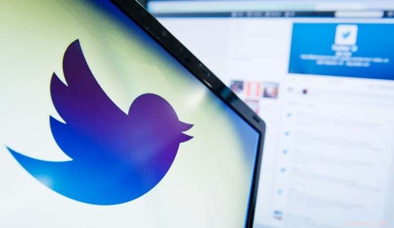 Twitter Turns Profitable for Second Consecutive Quarter, Signals Strong Momentum