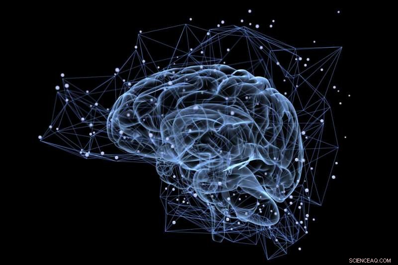 Revolutionizing Film: How Brain‑Computer Interaction is Transforming Cinema