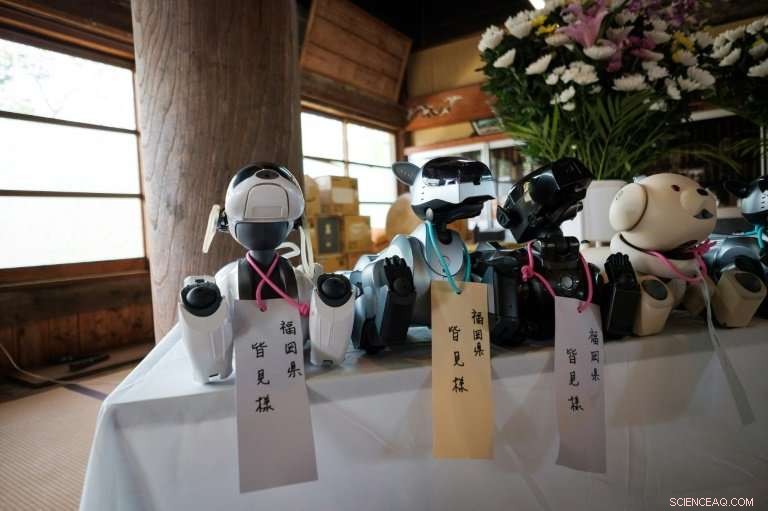 Robot Dog Funeral in Japan: A Touching Tribute to Sony s AIBOs