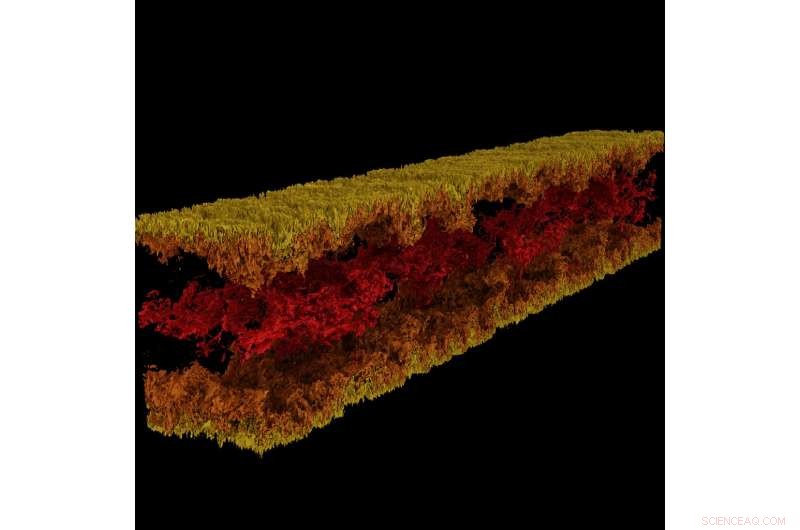 Texas Advanced Computing Center Launches Integrated Software Suite to Accelerate Scientific Research