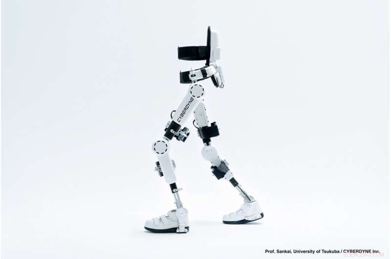 Researchers Reveal Exoskeletons Evolve to Embrace the Spirit of Sci‑Fi