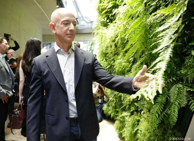Amazon Posts Strong Quarterly Profit Surge, Powered by AWS Growth