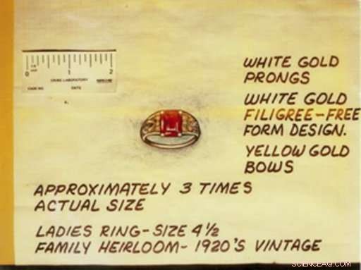 DNA Use in Serial Killer Investigation Sparks Privacy Concerns