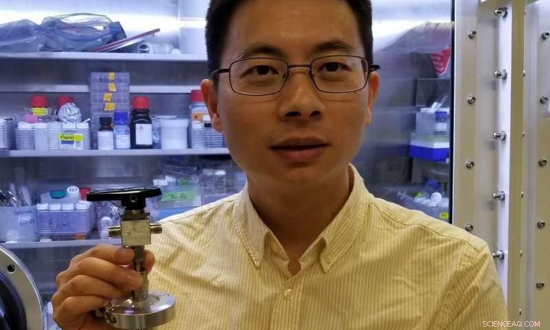 Stanford Researchers Pioneer Water‑Based Battery for Solar & Wind Energy Storage