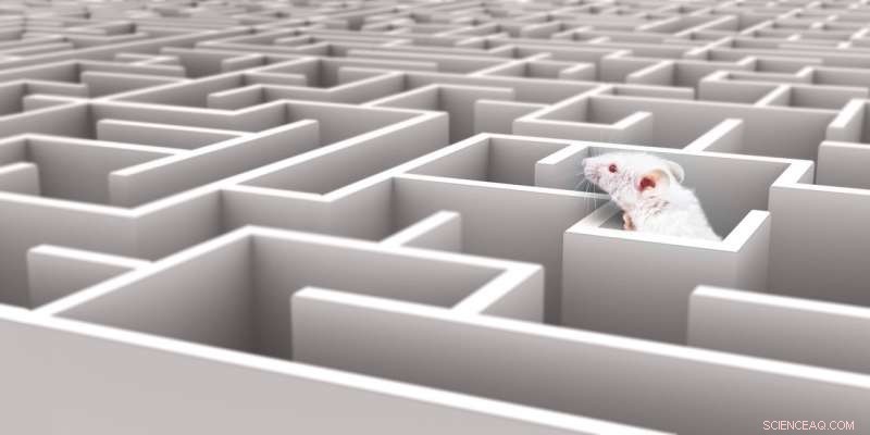 Charting AI’s Path: How Governments Can Master the Rapidly Evolving Landscape