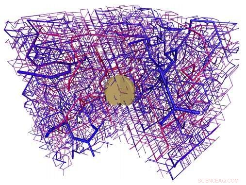 TumorCode: Advanced Simulation Software for Vascularized Tumors