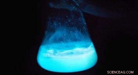 Algae Lighting: The Future of City Illumination