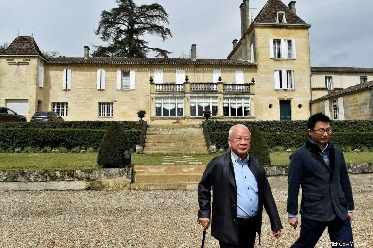 Billionaire Investor Acquires Seven Bordeaux Châteaux, Leading the Chinese Wine Market