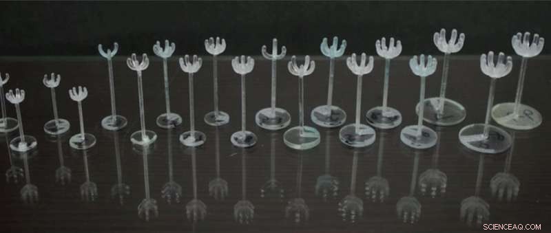 Innovative Plant‑Inspired Pipettes: Harnessing Liverwort Design for Advanced Lab Tools