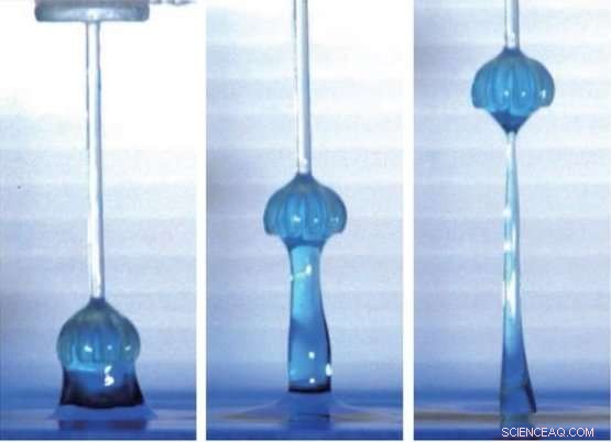 Innovative Plant‑Inspired Pipettes: Harnessing Liverwort Design for Advanced Lab Tools