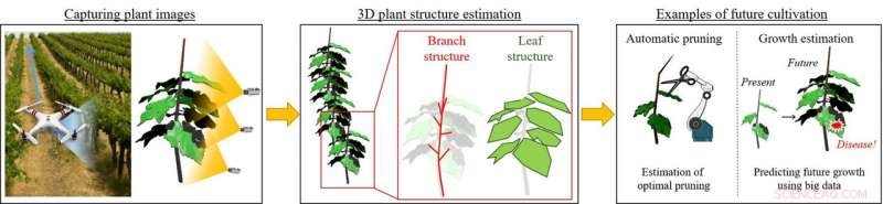 Revealing Hidden Tree Structures: Advanced Branch and Leaf Modeling for Fruit Quality