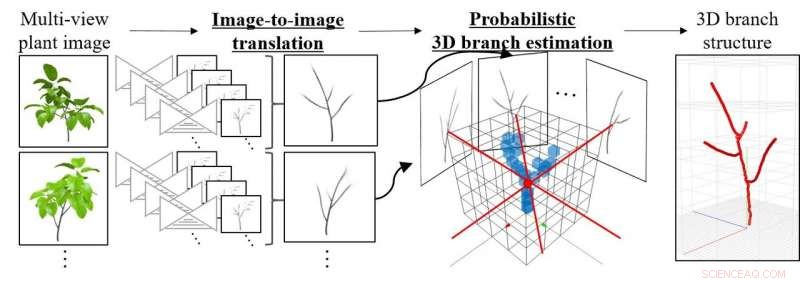 Revealing Hidden Tree Structures: Advanced Branch and Leaf Modeling for Fruit Quality